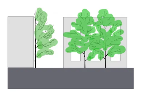 Baumfassade: schematischer Schnitt und Ansicht