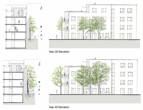 Baumfassade Bamberg: Entwicklung über die Zeit in 20 und 40 Jahren