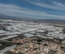 El Ejido, Almería (Spain), 25.03.2023, photogrpahy by José Luis Vicente Vicente